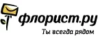 Флорист.ру: Магазины цветов Тамбова: официальные сайты, адреса, акции и скидки, недорогие букеты